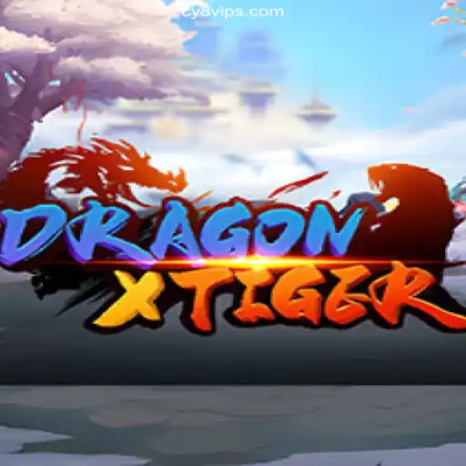 Explore the Exciting World of DragonXTiger at CY8 Oficial 💯️