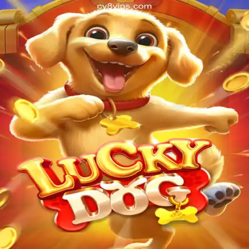 Exploring LuckyDog: A Premier Experience at CY8 Oficial – O melhor cassino online do Brasil