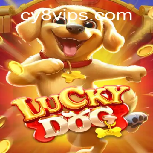 Exploring LuckyDog: A Premier Experience at CY8 Oficial – O melhor cassino online do Brasil